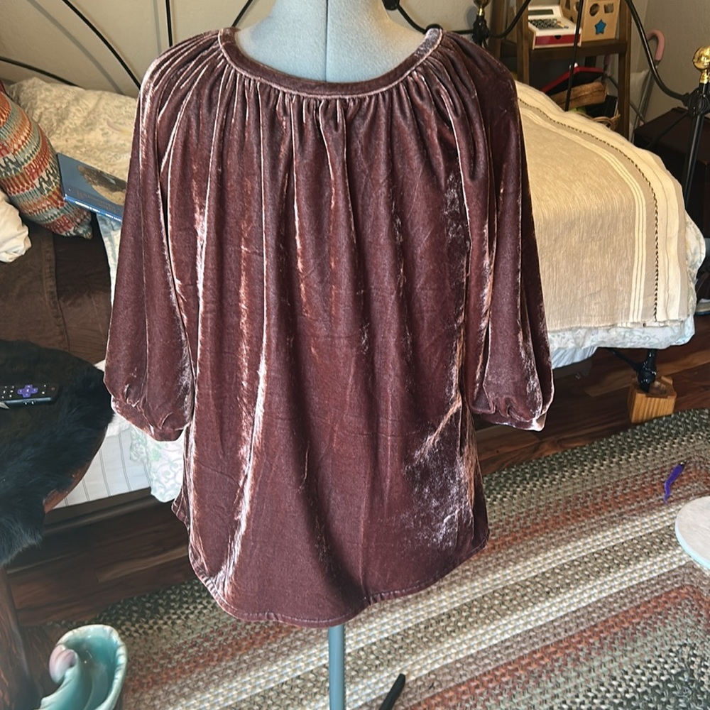 Luxurious Velvet Women's Blouse in Rich Brown - Picture 9 of 10